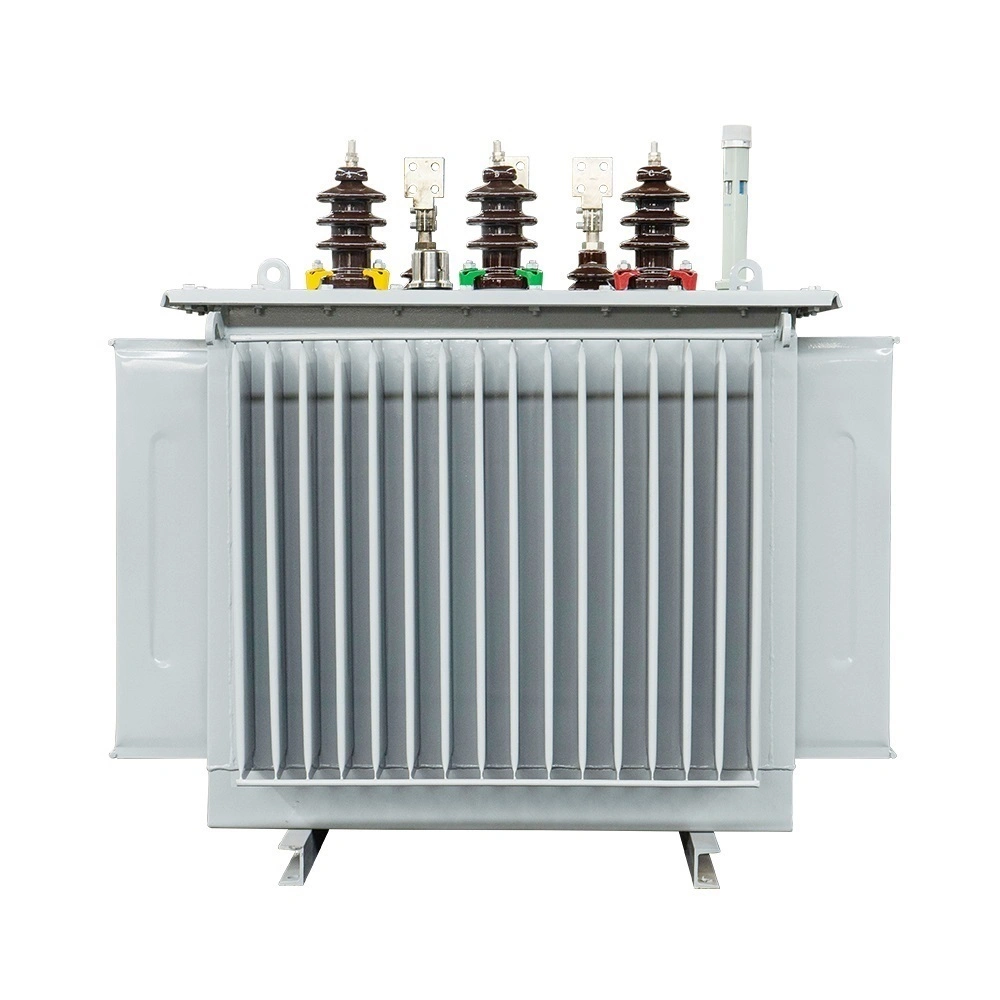 Oil-Immersed Power Indoor Transformer Transformer Distribution