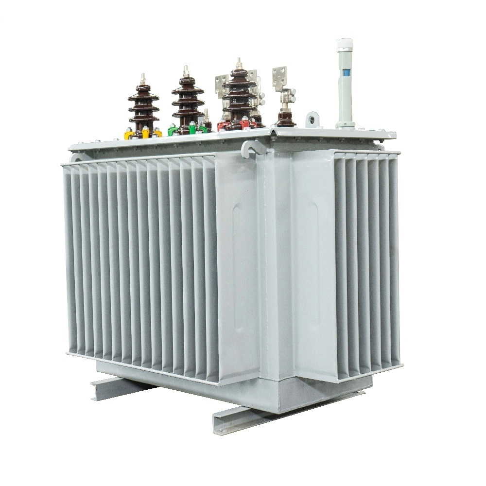 Oil-Immersed Power Indoor Transformer Transformer Distribution