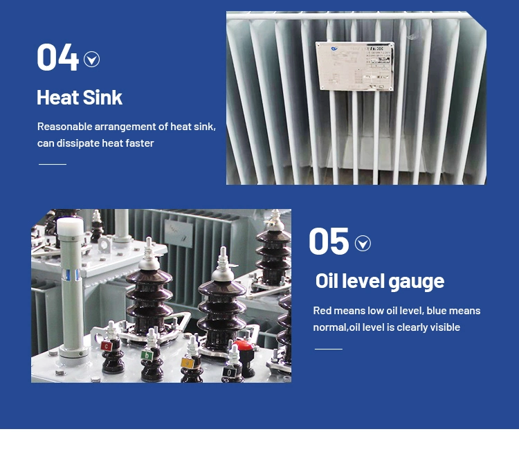 Oil-Immersed Power Indoor Transformer Transformer Distribution