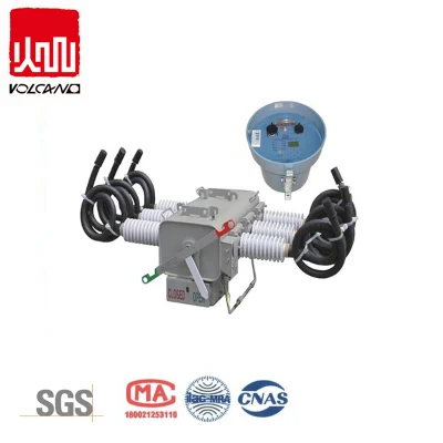  Interruttore di interruzione del carico con isolamento a gas SF6 per esterni montato su palo Zw20-12kv/1250A (LB)