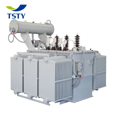  Trasformatore a bassa perdita di olio immerso 300 kVA 10/0.4 kV con Standard IEC 15 kV trasformatore di potenza immerso in olio con personalizzato Servizio