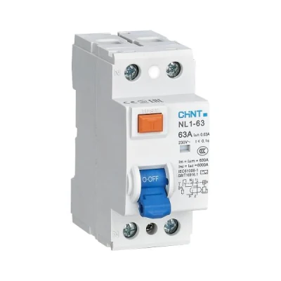  Chint interruttori differenziali RCCB NL1-63 2p 4p 25A 40 A. 63A 30 ma 100mA magnetico RCD ELCB 2 poli 4 poli Ver. Interruttore di circuito a corrente residua