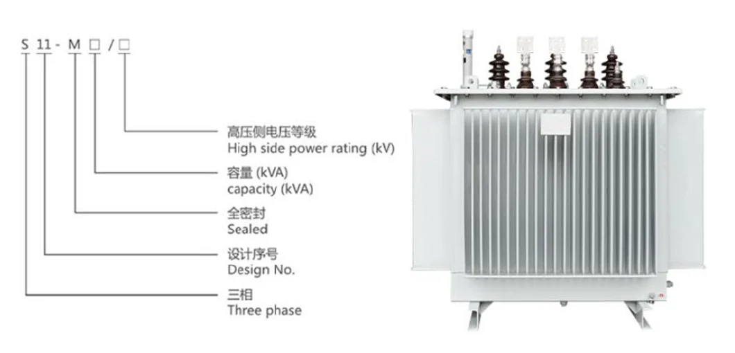 S11-M 3 Phase 11kv 33kv 100-3150kVA Oil Immersed Power Transformer