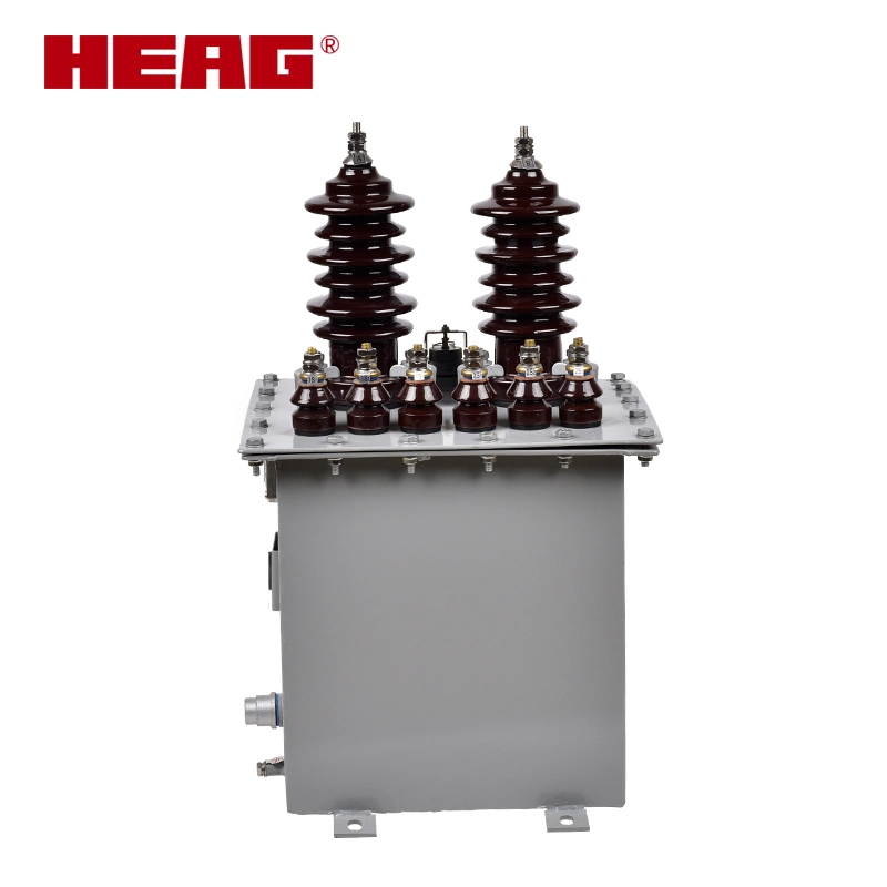 Outdoor Oil-Immersed Current Transformer Ljwd-12