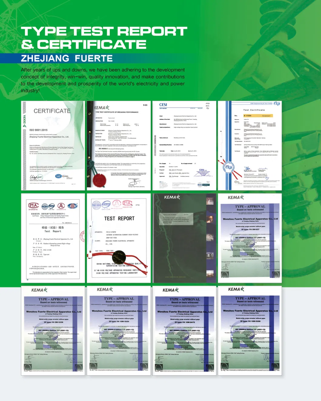 Outdoor Expulsion Drop-out Type Distribution Fuse Cutout Series 11-15kv