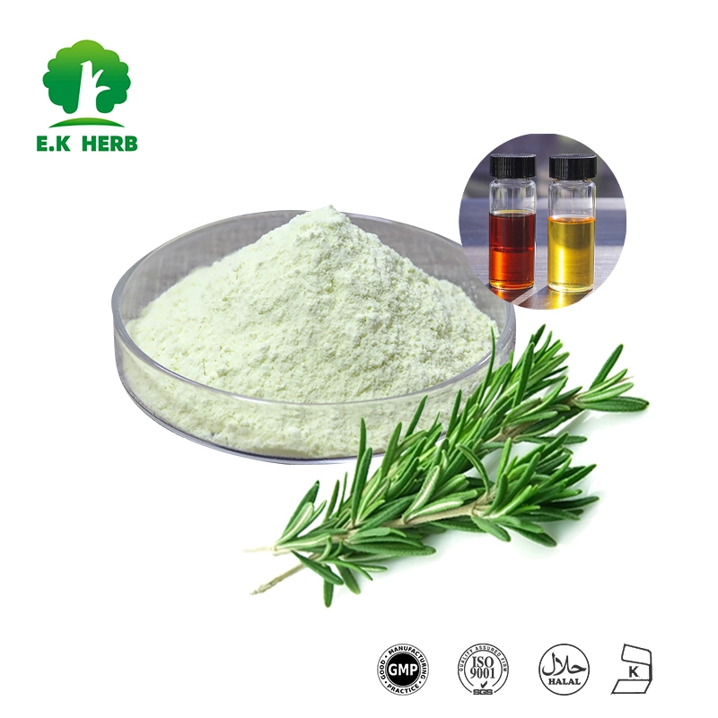 E. K Herb ISO Halal Certified Natural EU Organic Antioxidants 5%~95% Oleanonic Aicd, Carnosic Acid/Oil, Rosmarinic Acid, Ursolic Acid Powder Rosemary Extract