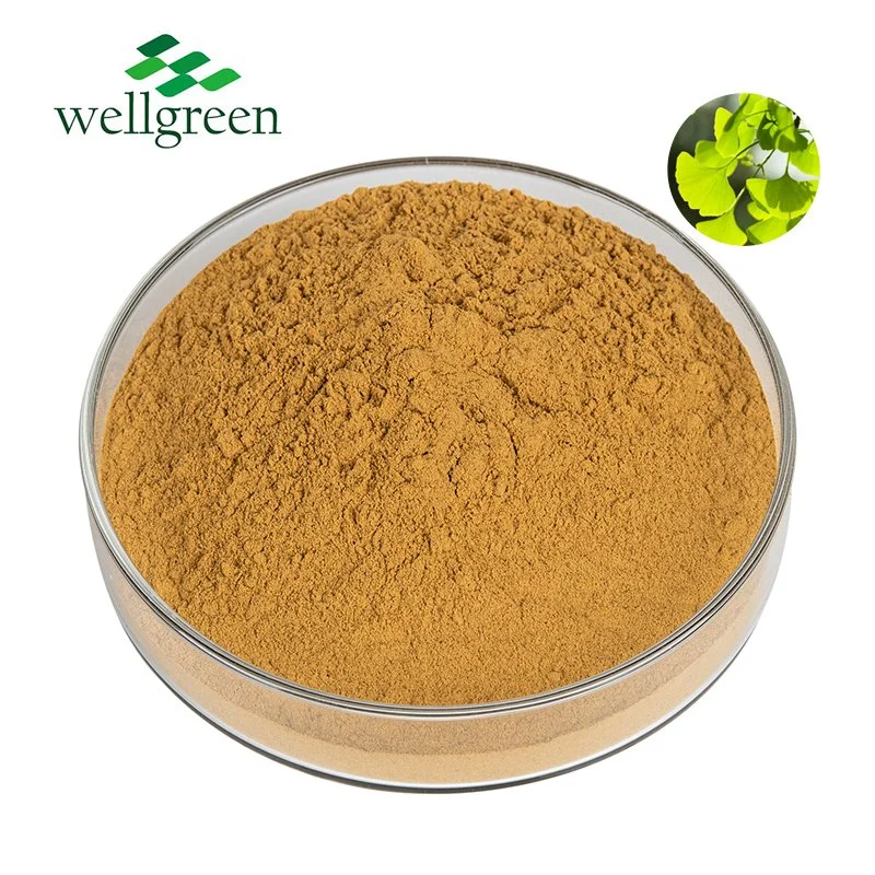 2022 New Batch Organic Ginkgo Biloba Extract Wholesale Top Grade Ginkgo Biloba Extract