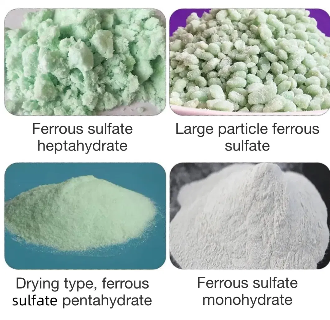 Factory Price Poultry Feed Additives Animals Nutrition Ferrous Sulfate Monohydrate CAS No 13463-43-9