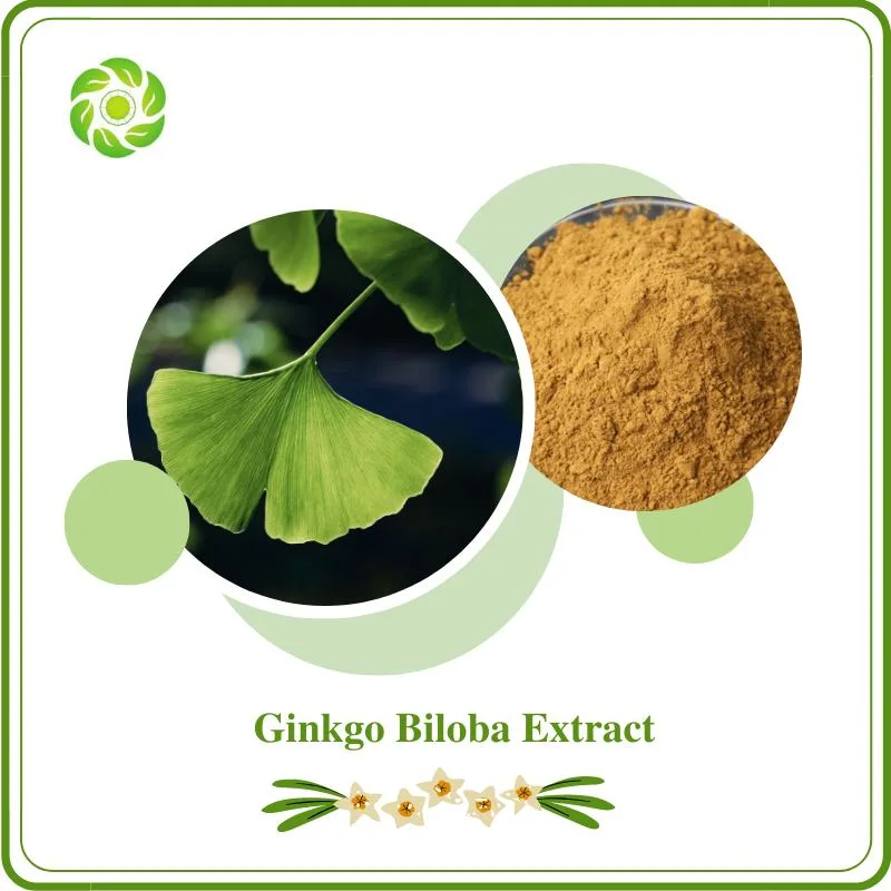 Sophora Japonica Extract Ginkgo Biloba Extract Celery Extract Grape Seed Extract10%-99% Trans-Resveratrol 98% Polydatin Polygonum Cuspidatum Extract