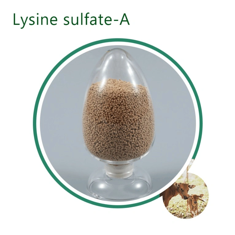 Wholesale Supply Nutritional Ingredient L-Cystine CAS 56-89-3 Food Grade