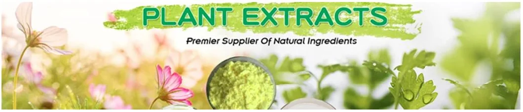 E. K Herb 100% Natural Organic Health Supplement Bitter Orange/Citrus Peel Extract CAS 478-01-3 98% Nobiletin Tangerine Peel Extract