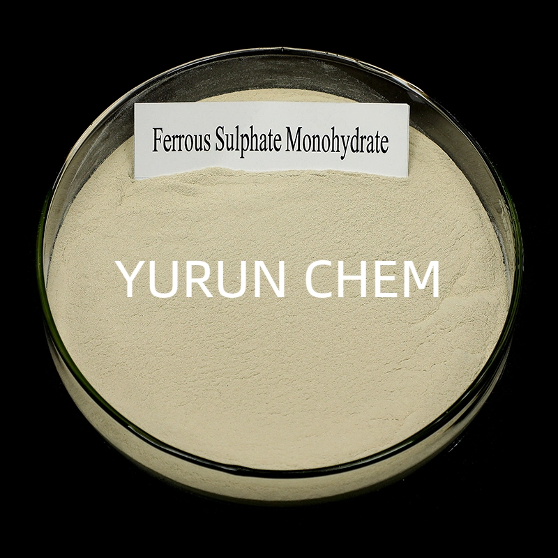 Ferrous Sulfate/Ferrous Sulphate Powder Monohydrate/Heptahydrate Industry Grade/Fertilizer Grade/Food Grade/Feed Grade