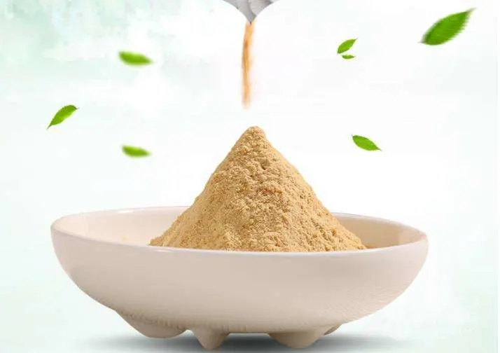 Astragalus Root Extract Powder 83207-58-3 Astragaloside a 5% to 98%