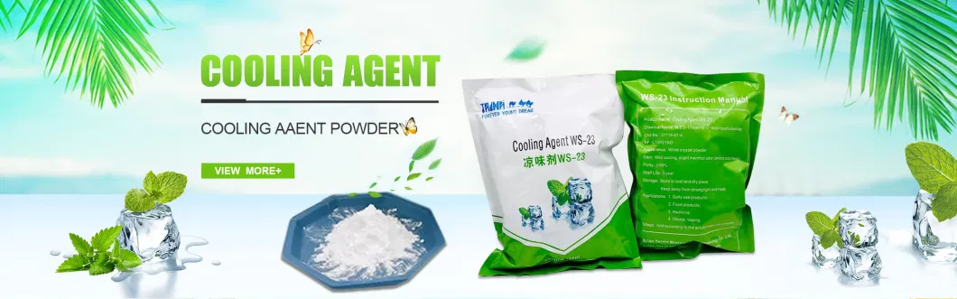 Menthol Ws-23 Cooling Agent Powder Food Grade CAS 51115-67-4 FDA Certificate