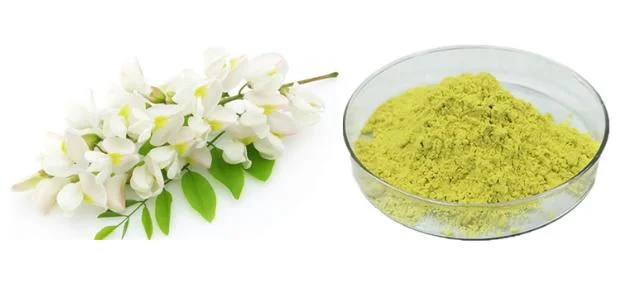 Sophora Japonica Extract Powder 95% Quercetin CAS 117-39-5 Quercetin