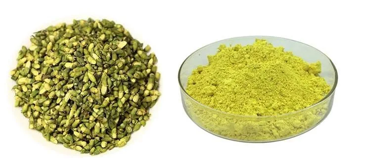 Sophora Japonica Extract Powder 95% Quercetin CAS 117-39-5 Quercetin