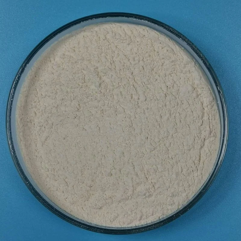 Food Grade Potassium Magnesium CAS No 299-27-4 Gluconate Magnesium Gluconate