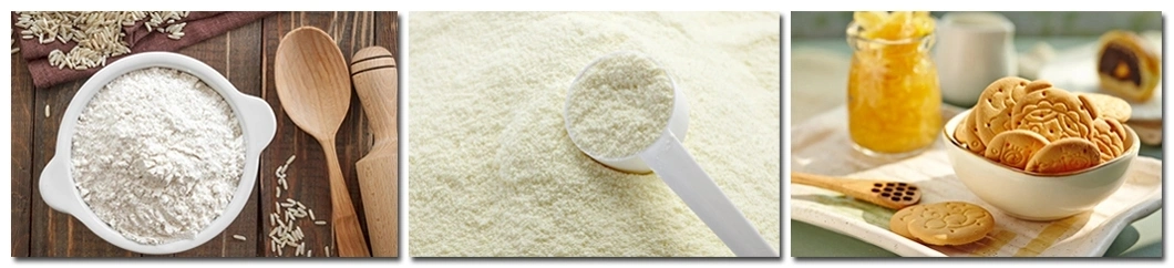 Food Additive Ferric Phosphate/ Ferric Pyrophosphate CAS 10045-86-0