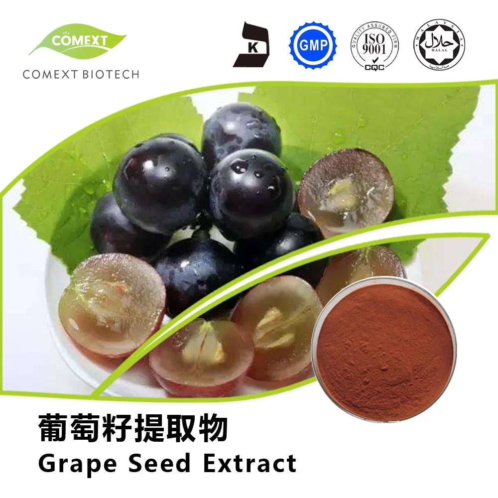 Comext Ep USP Standard Natural Ginkgo Biloba Extract