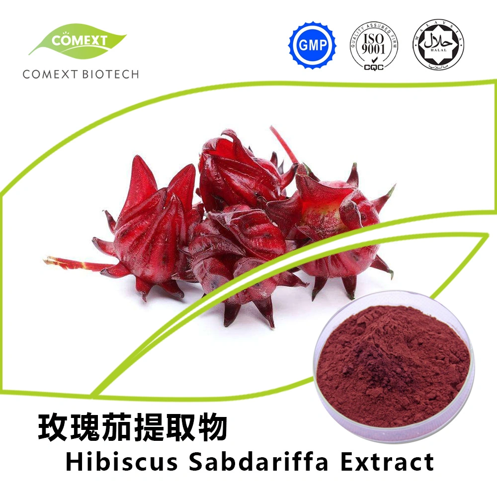 Comext Fssc Halal Kosher Factory Skin Care 5%~98% Ursolic Rosmarinic Acid Powder E392 Food Additive Antioxidant 10% 60% Carnosic Oil Soluble Rosemary Extract