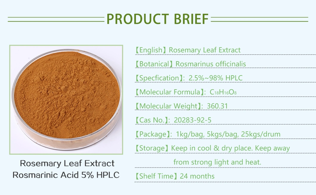 Rosemary Leaf Extract Carnosic Acid Powder for Supplement