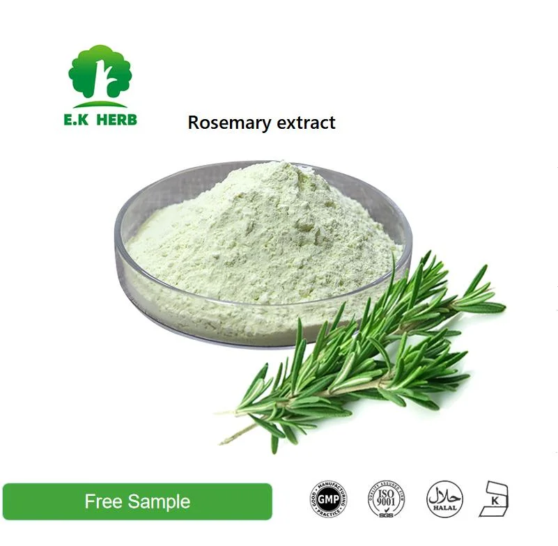 E. K Herb Factory Price Wholesale100% Natural Plant Extract Anti-Hepatitis &amp; Skin Care Whitening &amp; Moisturizing Ursolic Acid5%-98% Loquat Leaf Rosemary Extract