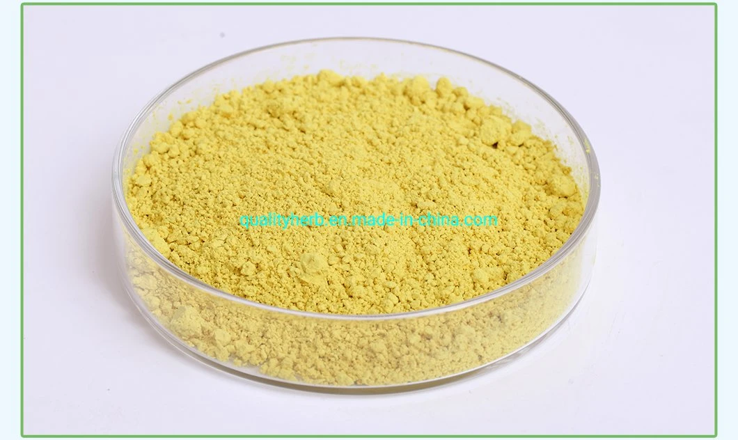 Sophora Flower Bud Extract 95% Quercetin Dihydrate CAS 6151-25-3