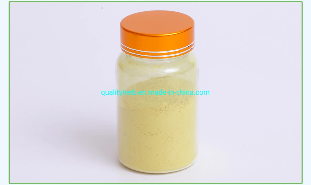 Sophora Flower Bud Extract 95% Quercetin Dihydrate CAS 6151-25-3