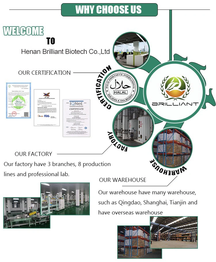 China Manufacturer Price Ferrous Sulfate Heptahydrate/Monohydrate for Wastewater Treatment