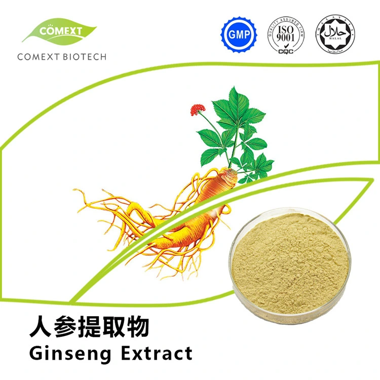 Comext Ep USP Standard Natural Ginkgo Biloba Extract