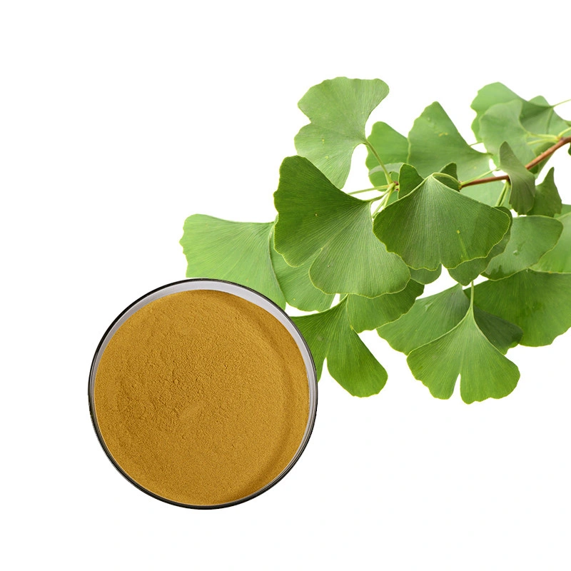 Ginkgo Biloba Dry Extract with 24% Ginkgo Flavoglycosides &amp; 6% Terpene Lactones