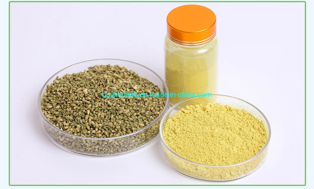 Sophora Flower Bud Extract 95% Quercetin Dihydrate CAS 6151-25-3