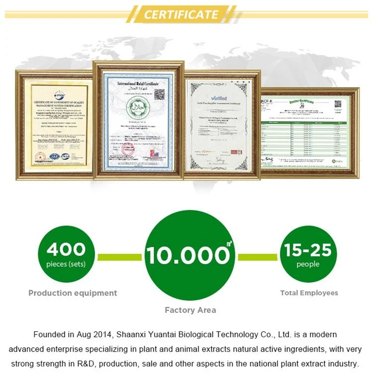 Ytbio Food Additives Magnesium Lactate Powder Magnesium L-Lactate Ttrihydrate