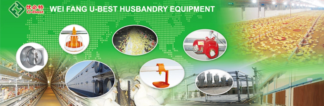 Big Herdsman Type Broiler Feeder Pan Automatic Feeding for Poultry