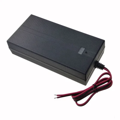 El ejercicio2948000 Fuyuang 7s 25,2V 50Ah 100Ah 29,4V 8A 10A Batería de ión de litio li cargador para scooter E moto con KC PSE