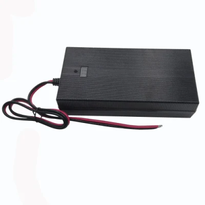 El ejercicio2948000 Fuyuang 7s 25,2V 50Ah 100Ah 29,4V 8A 10A Batería de ión de litio li cargador para scooter E moto con KC PSE