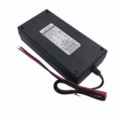 El ejercicio2948000 Fuyuang 7s 25,2V 50Ah 100Ah 29,4V 8A 10A Batería de ión de litio li cargador para scooter E moto con KC PSE