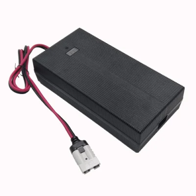 El ejercicio2948000 Fuyuang 7s 25,2V 50Ah 100Ah 29,4V 8A 10A Batería de ión de litio li cargador para scooter E moto con KC PSE