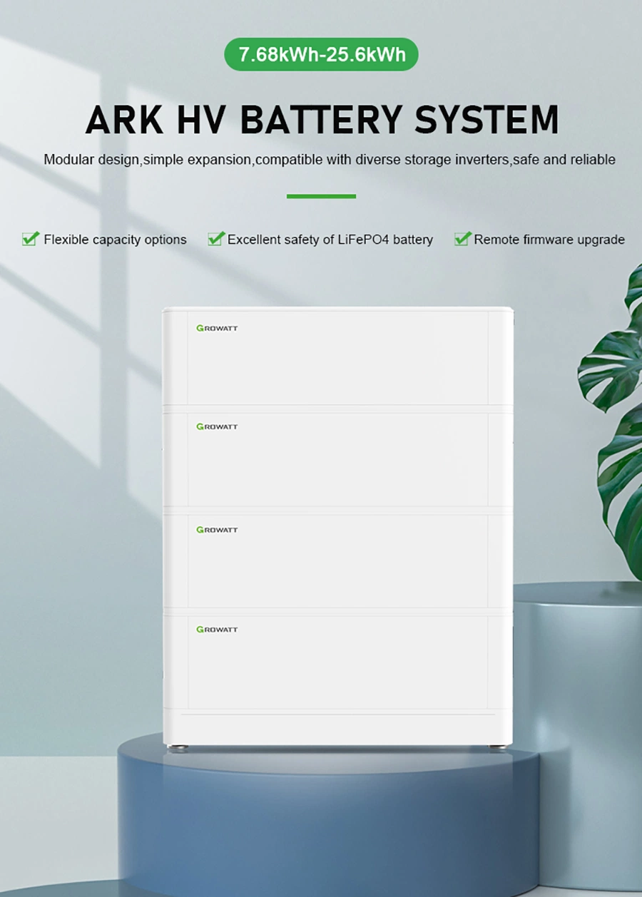 High Capacity/Deep Cycle Energy System Growatt Storage Charger Lithium Battery