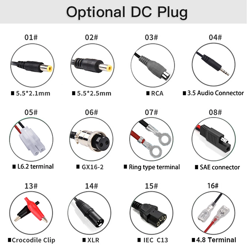 Chargers Adapters 21.6V/21.9V 1A 24W Au/EU/UK/Us Wall Charger for 6s 18V 19.2V 1A LFP LiFePO4 LiFePO 4 Battery Charger