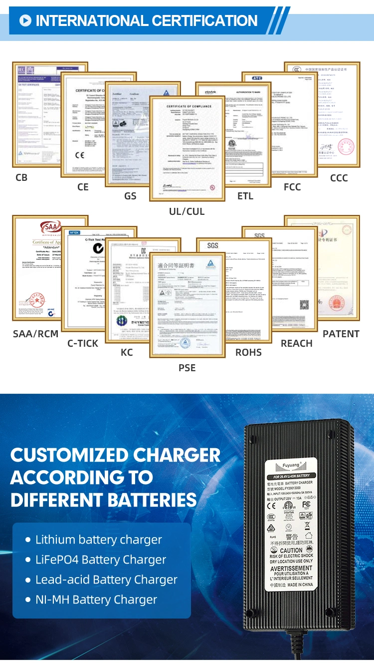 Fuyuang UL GS CE SAA PSE Li-ion Battery Charger for Ebike E-Scooter Drone 1A 2A 3A 4A 5A 10A Lithium Battery Charger 12V