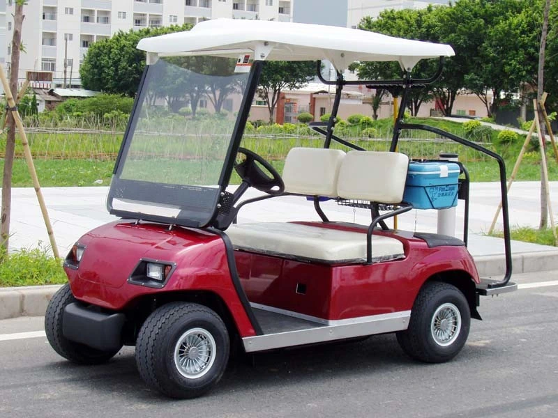 Cheap 2 Person Electric Golf Buggy Long Durability Little Noise Buggy for Sale