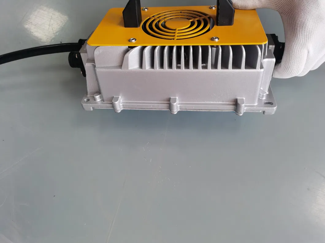 Customized Carton or Wood Pallet Industrial Charger Professional Lithium Battery Charger with CE 3000W