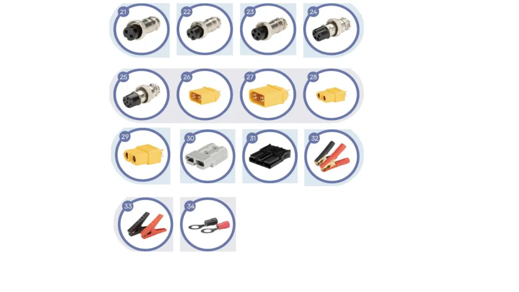 12.6V-8A Customized Lithium Ion LiFePO4 Battery Charger