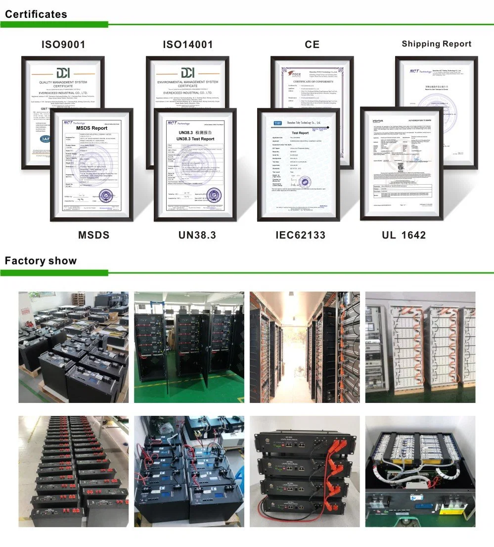 Everexceed 6000+ Cycle Times 48V 100ah Rechargeable LiFePO4 Lithium Ion Solar Battery