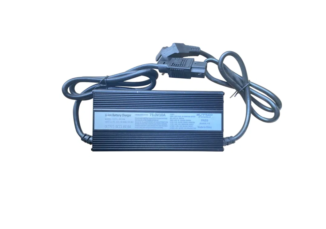 12V 13A 24V 9A 36V 48V 5A 60V 72V Lithium Ion Lead Acid Battery Charger for E-Bike/Scooter