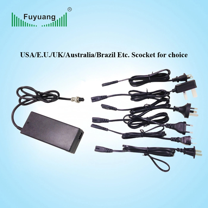 UL Certified 12V 24V 36V Electric Bike Automatic Battery Charger