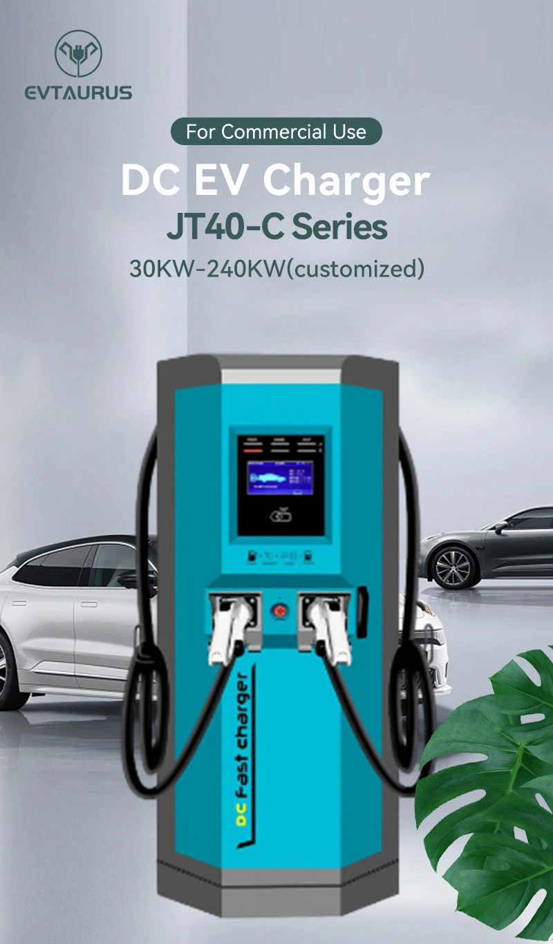 New Product IC Card Authentication Cav IP54 30kw Chademo EV Onboard Charger DC DC 96 Volt