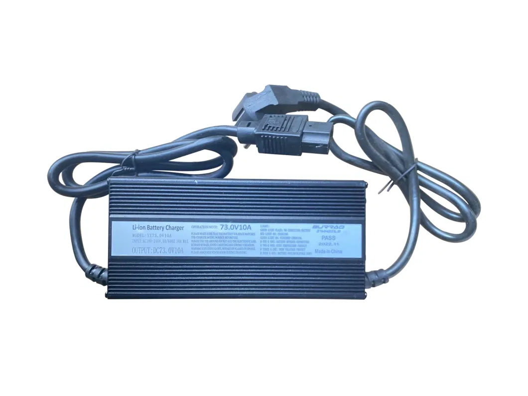 12V 13A 24V 9A 36V 48V 5A 60V 72V Lithium Ion Lead Acid Battery Charger for E-Bike/Scooter