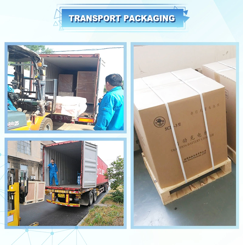 Electric Vehicle/Rickshaw/Forklift/Stacker Lithium Battery Pack Programmable High Power Intelligent Fast Charger